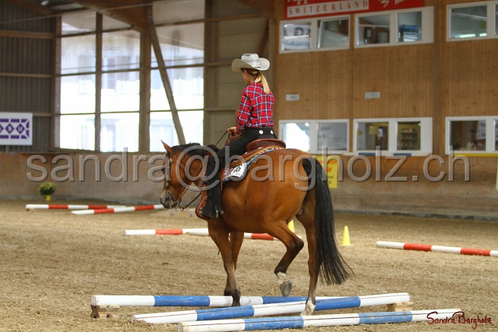 26-ApHC GT_038.jpg